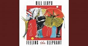 Feeling the Elephant (Remastered)