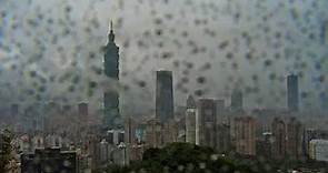 台北 2021-10-24 地震片段畫面（台北象山即時影像）