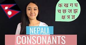 #2 Learn Nepali for Beginners | Nepali Consonants