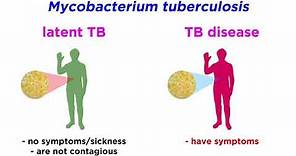 Multidrug-Resistant Tuberculosis (MDR-TB): Mycobacterium tuberculosis