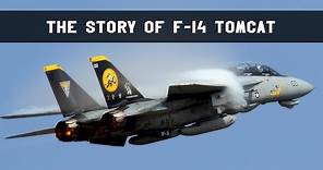 The story of F14 Tomcat | Jet fighter documentary | F-14 Topgun airplane | F 14 Tomcat