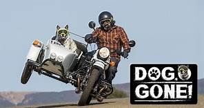 Motorcyclist Introduces Dog, Gone! Ural Gear Up Sidecar Video Series