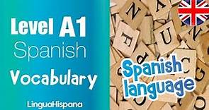 SPANISH A1: Vocabulary 👩‍💻📖