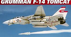 Grumman F-14 Tomcat | A Brief History Of The Iconic Aircraft | Upscaled