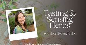 Herbal Medicine Making - Lori Rose Ph.D. - Sensing Herbal Energetics Through the Taste of Herbs