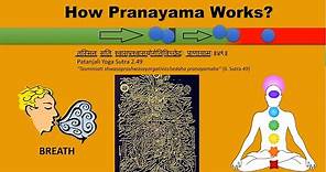 What is Pranayama | How it works | Benefits & Types of Pranayama