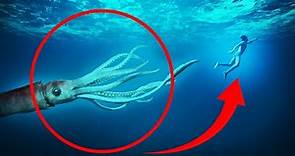 8 Giant Squid Encounters You Really Shouldn't Watch