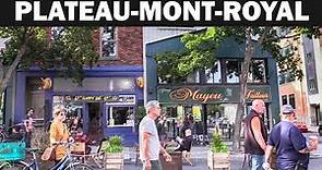 Montreal's Most Famous Neighborhood - Le Plateau-Mont-Royal 2020
