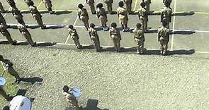 titchfield high school cadet unit inspection 2013 - march on