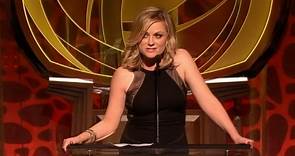 Amy Poehler Opens Up About Divorce and Dating
