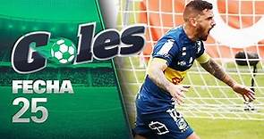 GOLES - Fecha 25 - Campeonato PlanVital 2020 ⚽