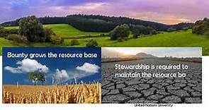 Ten Biblical Principles for Agriculture