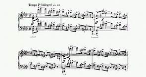 Robert Schumann/Percy Grainger - Piano Concerto, 1st movement (audio + sheet music)