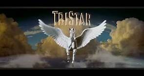 TriStar Pictures FilmDistrict Metro-Goldwyn-Mayer 75 Years DC Comics 87 North Productions Logo 2008