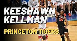 Keeshawn Kellman Princeton Tigers 2022 - 2023 Highlights (Florida Gulf Coast Eagles commit)