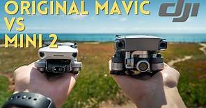 Original DJI Mavic Pro VS DJI Mini 2 // Which One Should You Get?