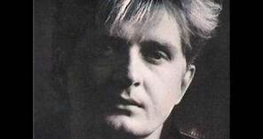 Tom Cochrane & Red Rider - The Untouchable One
