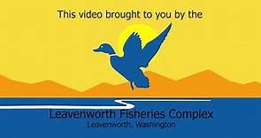 LNFH Tour Series Part 1: Introduction to the Leavenworth National Fish Hatchery