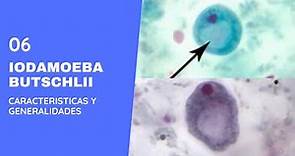 Iodamoeba butschlii 6.0 ||Parasitología || Amebas || Amebiasis intestinal