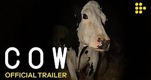 COW | Official Trailer #2 | Now Showing Exclusively on MUBI