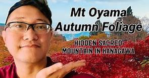 Mt. Oyama | Autumn Foliage | Hidden Sacred Mountain of Kanagawa | Autumn Leaves at Afuri Shrine