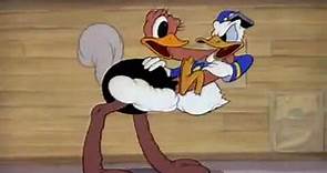 Donald's Ostrich || A Donald Duck Cartoon || Disney Shorts