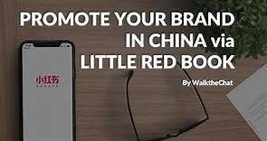 How to Promote Your Brand in China via Little Red Book? (Xiaohongshu)