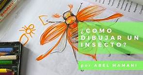 Como dibujar Insectos- crea un borador de un insecto muy rapido y facil- dibujando bichos