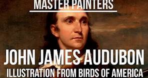 John James Audubon (1785-1851) Illustration from Birds of America (1827)