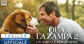 Qua La Zampa 2 | Trailer Ufficiale
