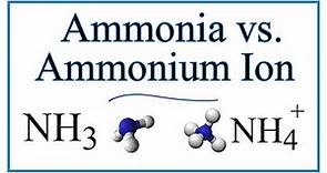 Ammonia vs the Ammonium Ion (NH3 vs NH4 +)