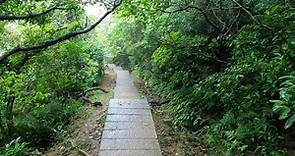 20210227琉榔路觀光步道，從瑞芳走上九份，好走又不很累的步道。