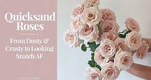 Quicksand Roses: Crusty and Dusty To Looking Snatch AF!