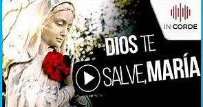 Musica Catolica - Dios te Salve, María 🙏 - Lyric Video | IN CORDE