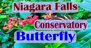 Exploring Niagara Falls Butterfly Conservatory