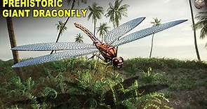 'Meganeura' - The Prehistoric Dragonfly With A Two-Foot Wingspan