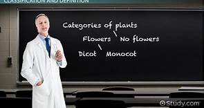 Dicot Definition, Flowers & Examples