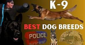 K-9 The ULTIMATE POLICE and MILITARY DOG breeds