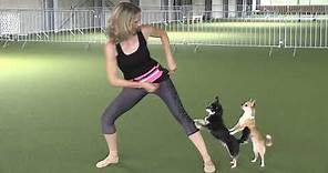 Karin Baumann zeigt DogDance Tricks mit ihren Chihuahuas