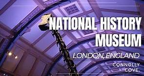 The Natural History Museum | London | Museums in London | England | Things To Do In London