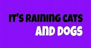 It's raining cats and dogs - English IDIOMS