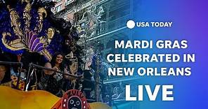 Watch: New Orleans celebrates morning Mardi Gras festivities