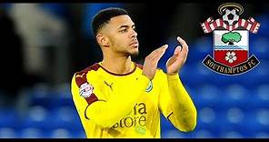 Andre Gray - Goals,Skills & Assists 2015-16 - Welcome to Southampton ||HD||