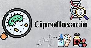 Ciprofloxacin - Uses, Mechanism Of Action, Pharmacology, Adverse Effects, And Contraindications