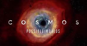 Cosmos Possible Worlds S01E05