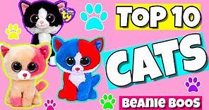 Top 10 beanie boo cats