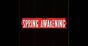 뮤지컬 스프링 어웨이크닝 OST Musical Spring awakening