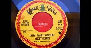 billy harner - sally sayin' somethin'