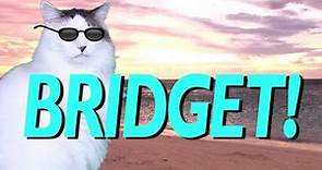 HAPPY BIRTHDAY BRIDGET! - EPIC CAT Happy Birthday Song