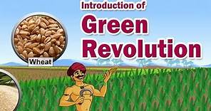 Introduction of Green Revolution | 9th Std | Economics | CBSE Board | Home Revise